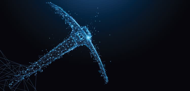 Bitcoin - Future or Fad?