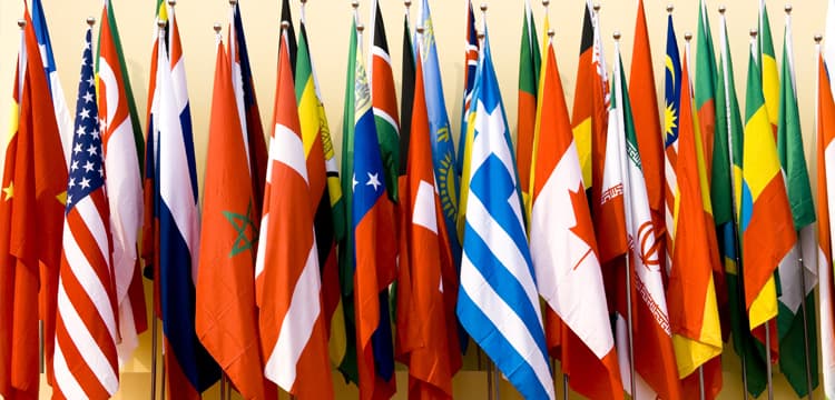 IFAC Call to Action for G20