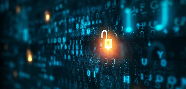 Cybersecurity identified as a top business risk