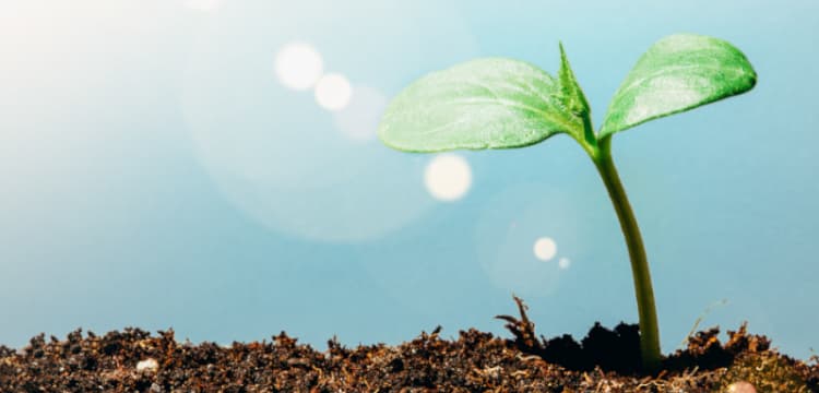 Helping accountants grow - using CPD to develop an outstanding finance team