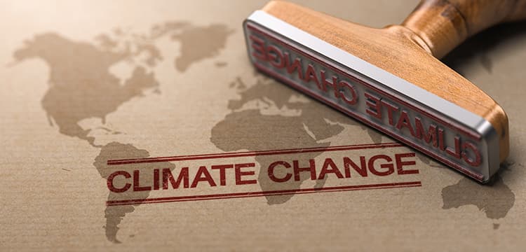 Climate Action and the finance profession