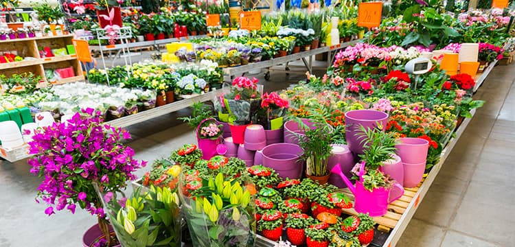 Inventory Valuation: Impact of the Pandemic