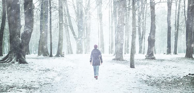 Changes to Winter Coronavirus Support Schemes