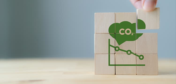 Our role as accountants in achieving net zero