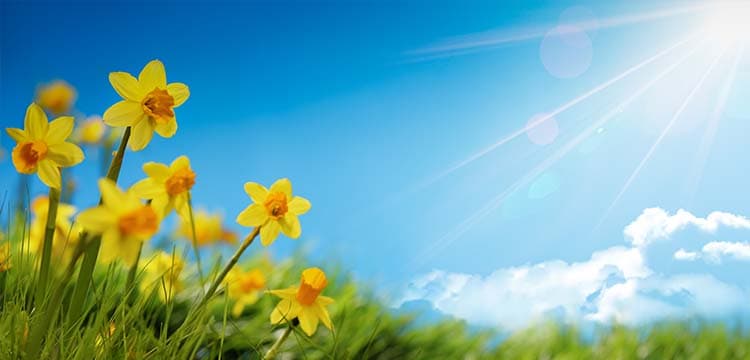 Summary of Spring Statement 2022