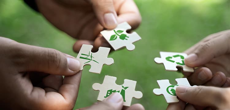 A Global Baseline for Sustainability Reporting Frameworks