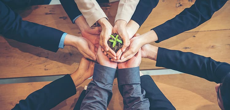 Tooling up on sustainability