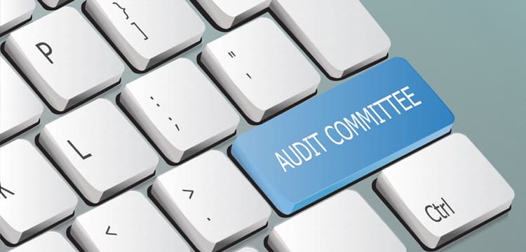 FRC's Proposed Minimum Standards for Audit Committees