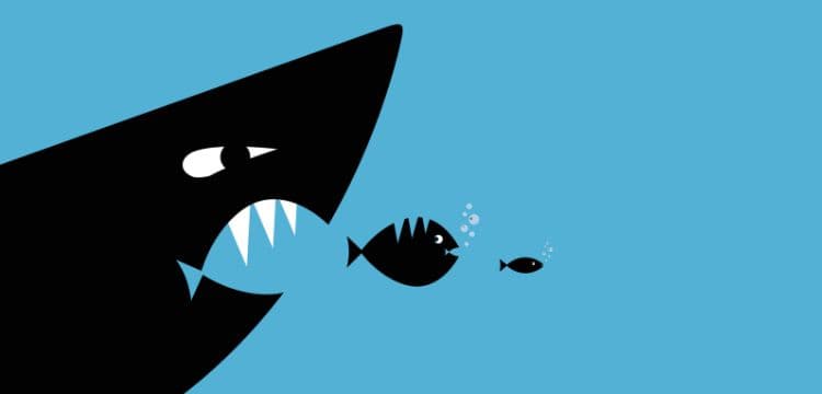 Beware the Predator Carrying Cash