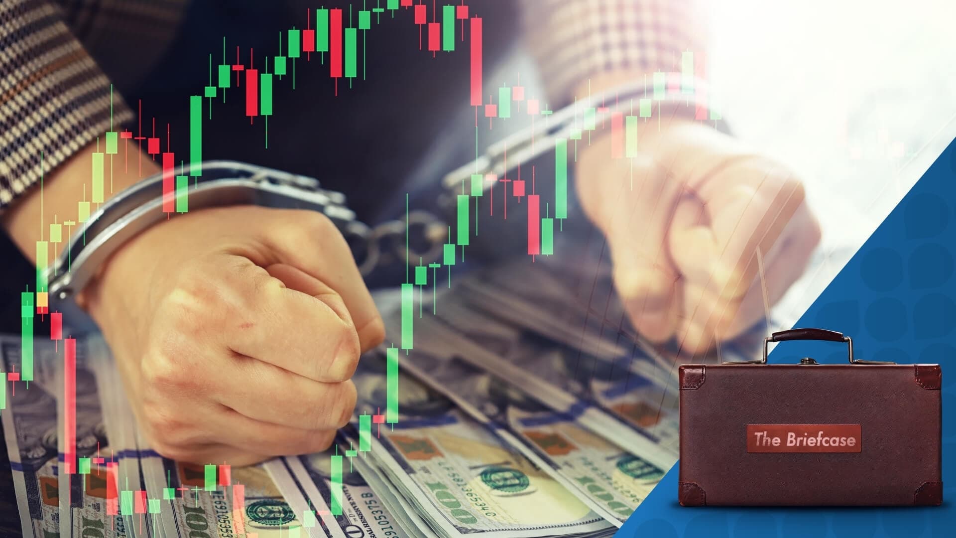 The Briefcase 11 : When Accountants Turn Criminal: 5 Real-Life Fraud Cases