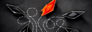 Corporate Resilience and Decision Making