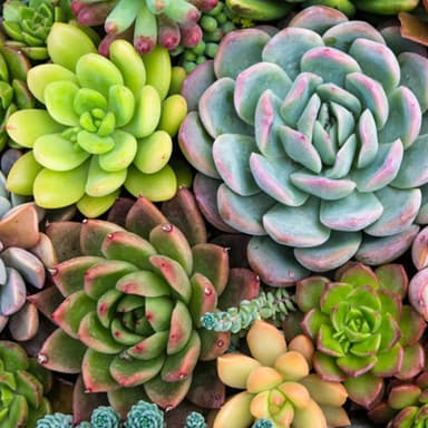 UK & Ireland GAAP for Small and Micro-Entities