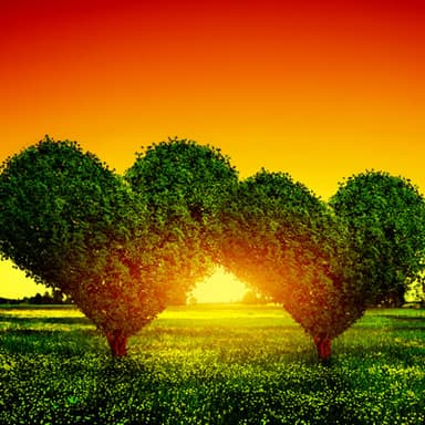 Corporate Ethics, Governance and Sustainability