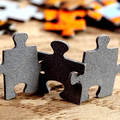 The Finance Business Partner