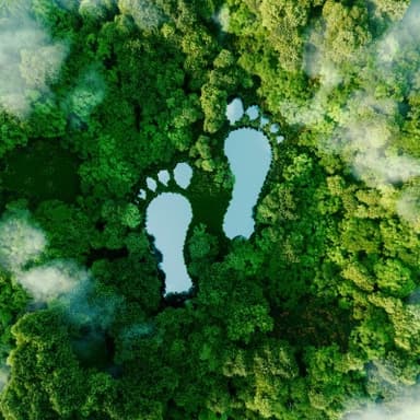 Measuring and Managing Your Carbon Performance