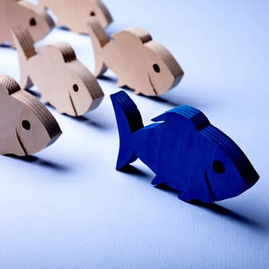 Developing CFO Behaviours