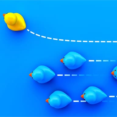 Embracing and Driving Change