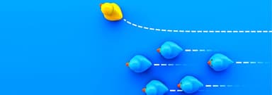 Embracing and Driving Change