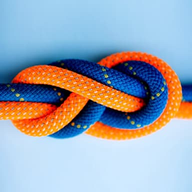 The Trusted Business Advisor