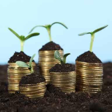 Sustainability Reporting and Assurance