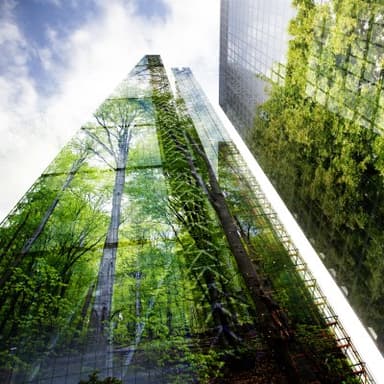 Sustainability Reporting: Getting Started