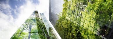 Sustainability Reporting: Getting Started