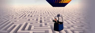 Finding Solutions: The Curious Accountant