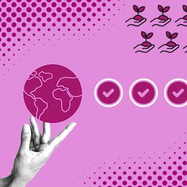 IFRS 2025: Sustainability Disclosure Standards