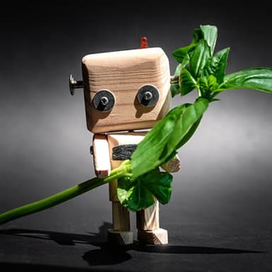 Using AI in an Ethical Way