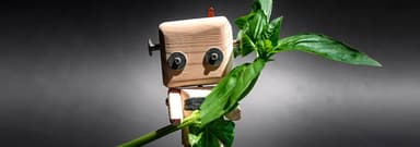 Using AI in an Ethical Way