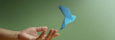 Transformational Leadership Across Borders and Cultures